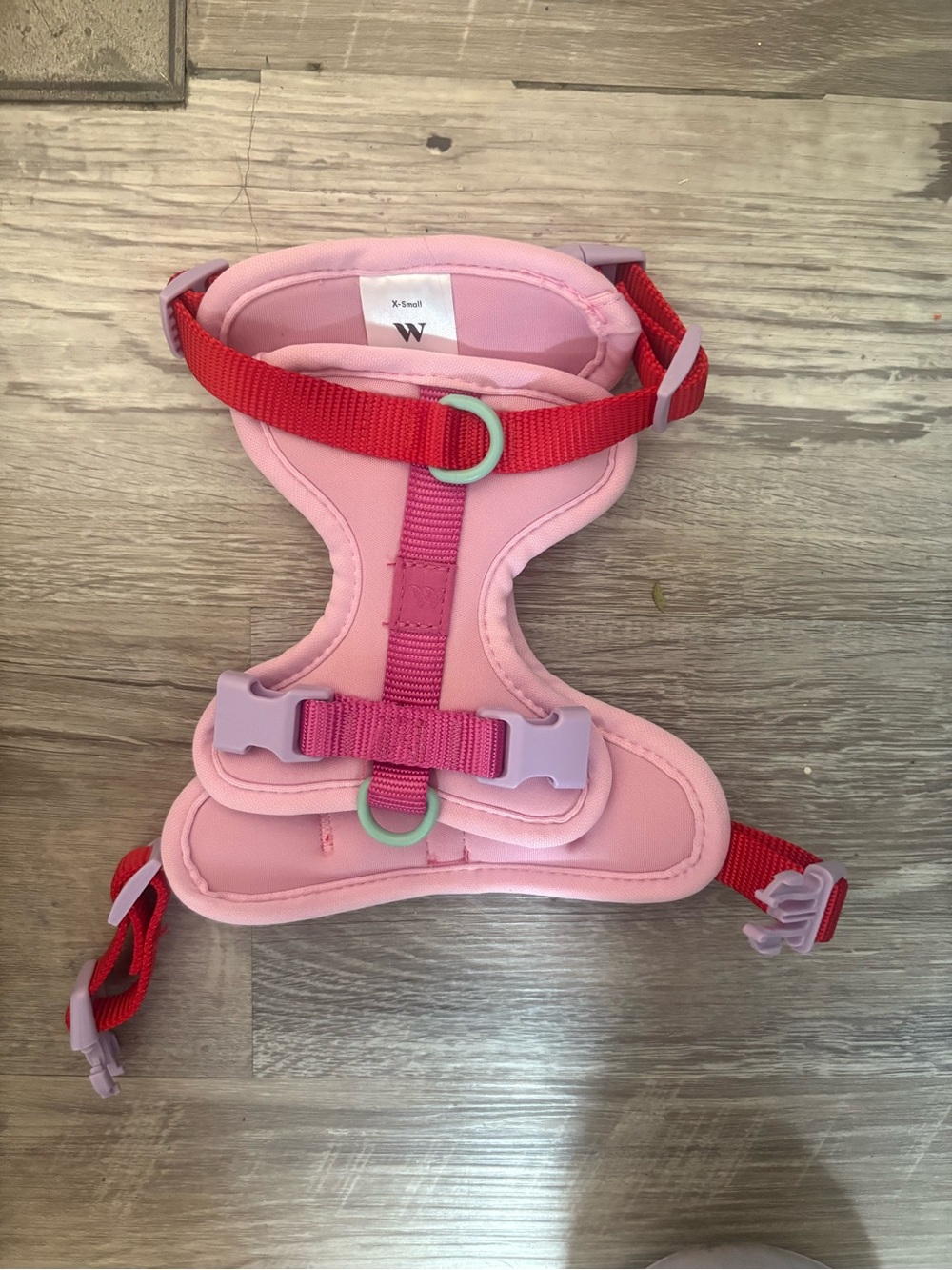 Wild One Bubblegum Harness XS NWOT